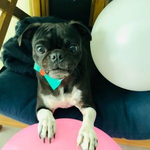 Meet your Posher, Salleha